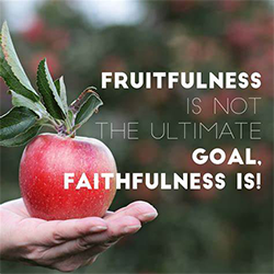 How to Be Fruitful – Part 1 – October 5, 2022 – Daily Devotions