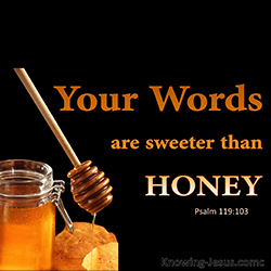 Cultivating a Taste for God’s Word – July 9, 2023 – Daily Devotions